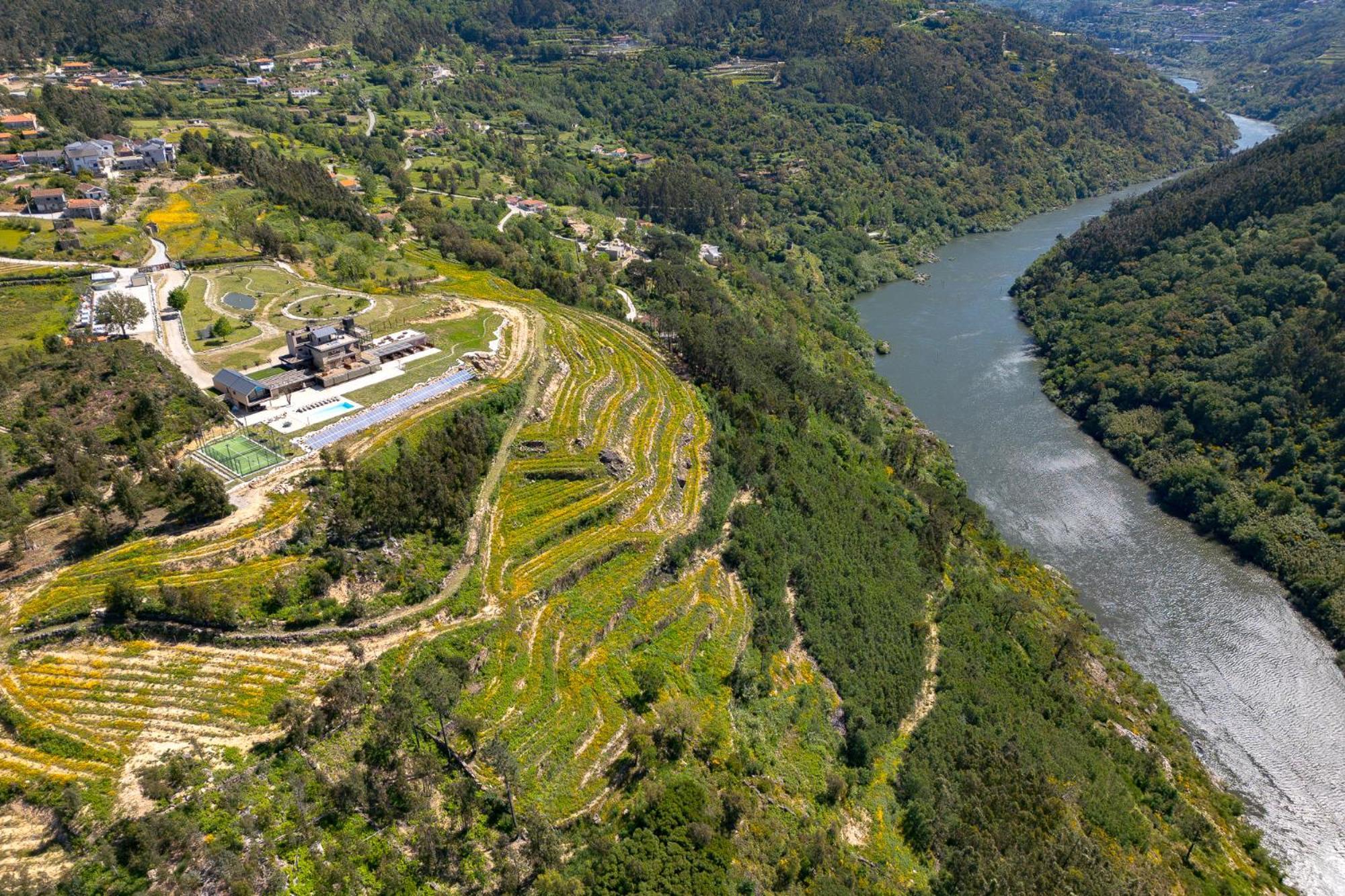 Quinta De Cabanas Douro Country House Penha Longa Εξωτερικό φωτογραφία